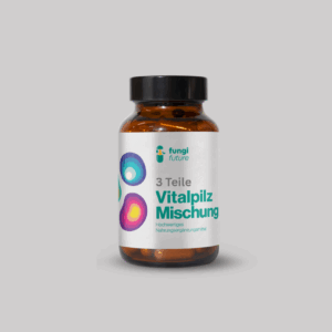 Persönliche Vitalpilz Mischung aus 3 Teilen