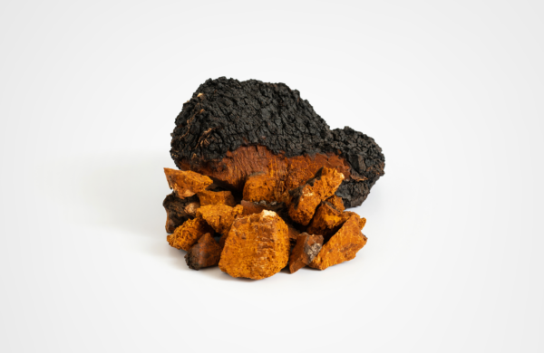 Winter Booster Mischung [Agaricus brasiliensis, Inonotus obliquus, Hericium erinaceus, Reishi] – Bild 3