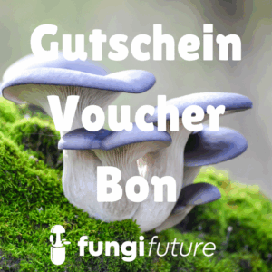 Geschenkegutschein € 10,-