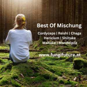 Best Of Mischung [Agaricus brasiliensis, Hericium erinaceus, Ganoderma lucidum, Grifola frondosa, Inonotus obliquus, Lentinula edodes, ]