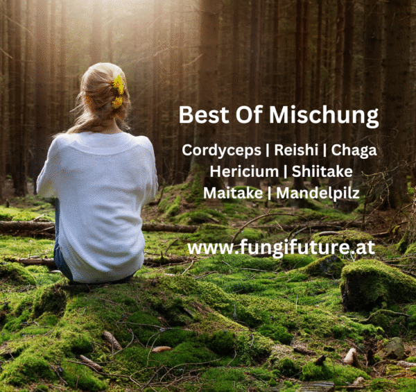 Best Of Mischung [Agaricus brasiliensis, Hericium erinaceus, Ganoderma lucidum, Grifola frondosa, Inonotus obliquus, Lentinula edodes, ]